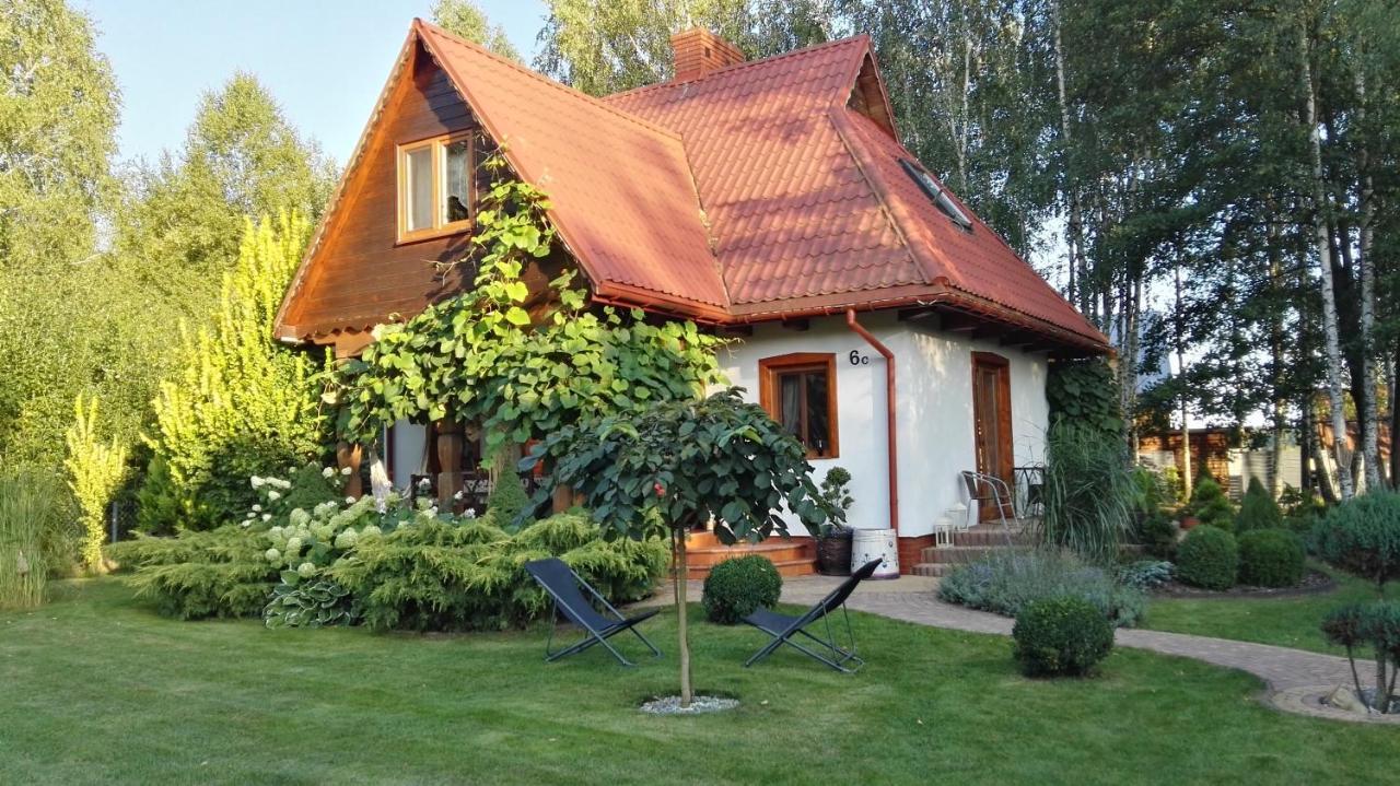 Siedlisko Gruszki Puszcza Białowieska Narewka Zewnętrze zdjęcie