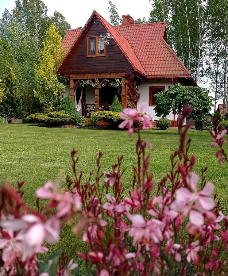 Siedlisko Gruszki Puszcza Białowieska Narewka Zewnętrze zdjęcie