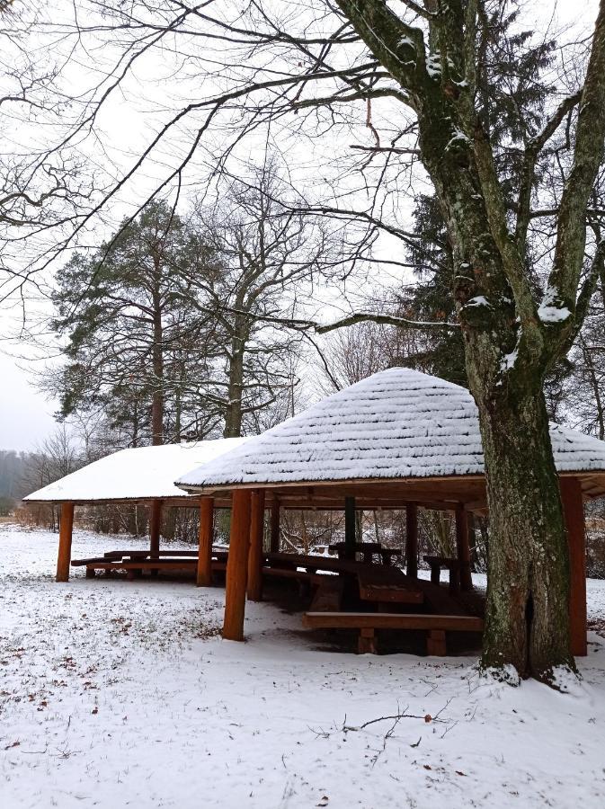 Siedlisko Gruszki Puszcza Białowieska Narewka Zewnętrze zdjęcie