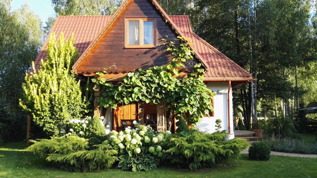 Siedlisko Gruszki Puszcza Białowieska Narewka Zewnętrze zdjęcie