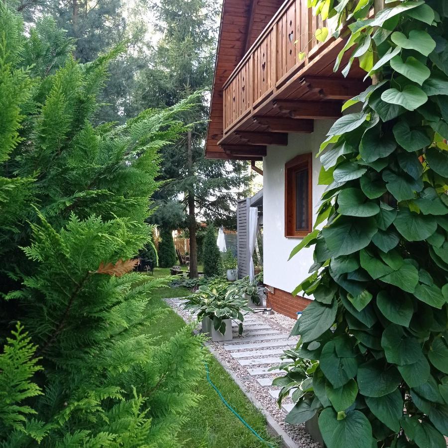Siedlisko Gruszki Puszcza Białowieska Narewka Zewnętrze zdjęcie