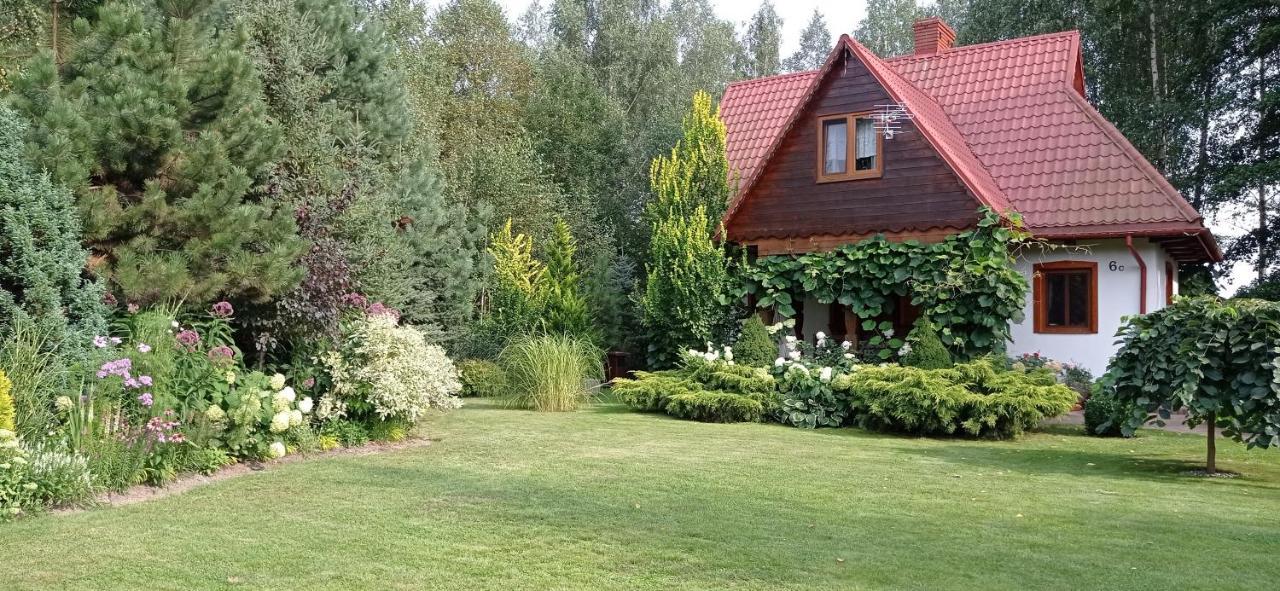 Siedlisko Gruszki Puszcza Białowieska Narewka Zewnętrze zdjęcie